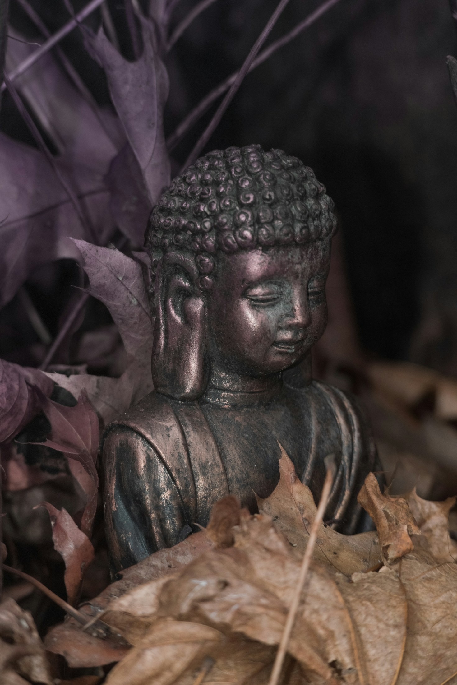 Discovering Serenity in a Modern Healing Space